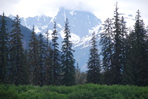 North to Alaska... and our Last Frontier!